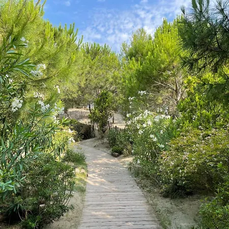 Palace & Palavas-les-Flots