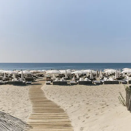 Hotell Palace & 5*